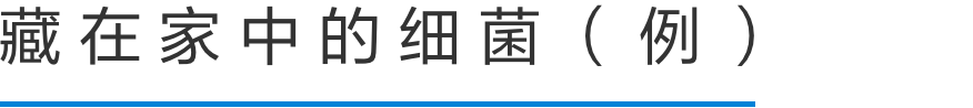 ご家庭内に潜む細菌の一例